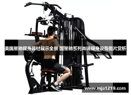 美国星驰健身器材展示全景 国星驰系列高端健身设备图片赏析