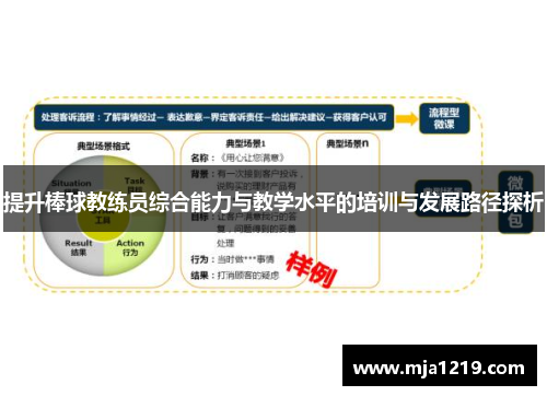 提升棒球教练员综合能力与教学水平的培训与发展路径探析
