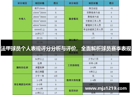 法甲球员个人表现评分分析与评价，全面解析球员赛季表现