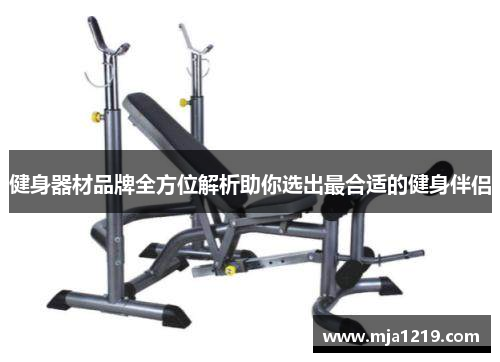健身器材品牌全方位解析助你选出最合适的健身伴侣