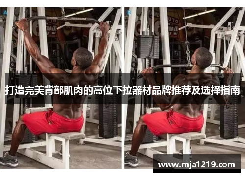 打造完美背部肌肉的高位下拉器材品牌推荐及选择指南