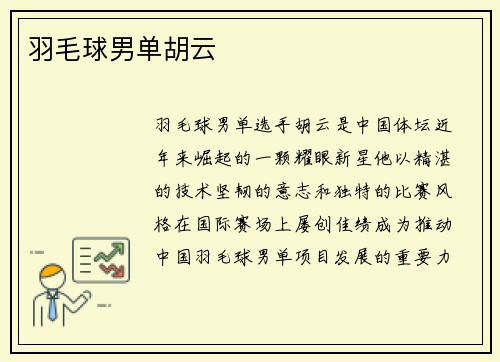 羽毛球男单胡云